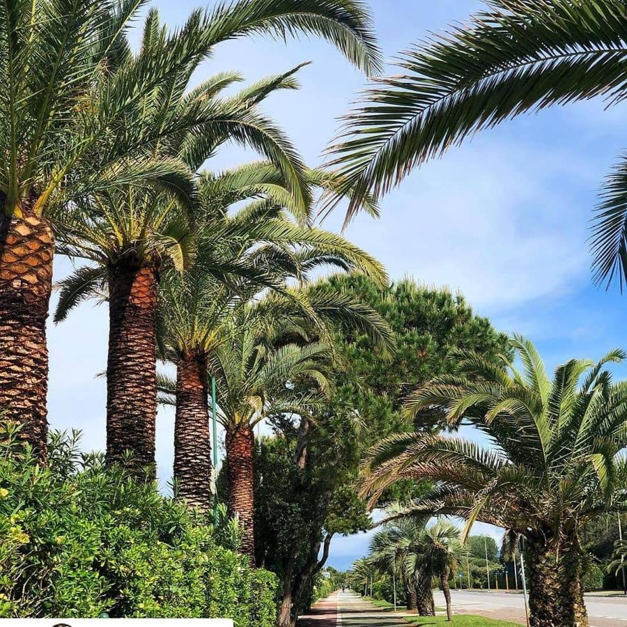 Hotel Etruria Forte dei Marmi Exterior foto